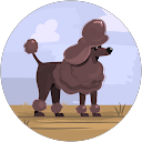 もず profile picture