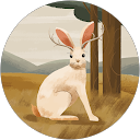 K Toru profile picture