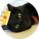 Masami E. profile picture