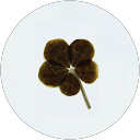 ひでぼ profile picture