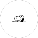 y profile picture