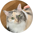 ベルのパパ profile picture