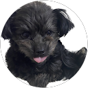 TARO profile picture