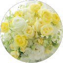 あんず profile picture