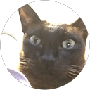 亜沙美 profile picture