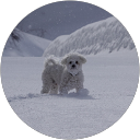 青木守雄 profile picture