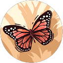 やっこちゃん profile picture