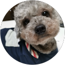 ユーばぁ profile picture