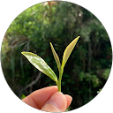 Ruriko T profile picture