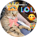 コメットNoriko profile picture