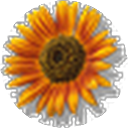 N.S S.N profile picture