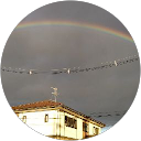 山のしろくま profile picture