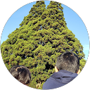 natu_kitty profile picture