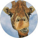 オオタタツル profile picture