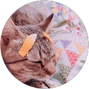 またきち profile picture