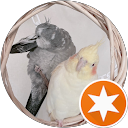 鳥好きオジさんの日常 profile picture