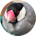 ひな profile picture