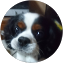 akiyo profile picture