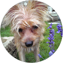 佐藤涼太 profile picture