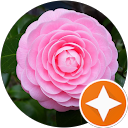 YUKI S profile picture