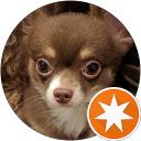 チャンプSG profile picture