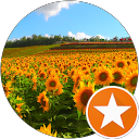 Yumi I profile picture