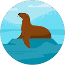 ちゃこちゃこ profile picture