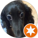 網干朝美 profile picture