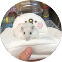 しーゆ profile picture