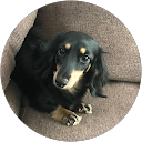 あのまっちゃん profile picture