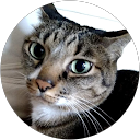 森井幸栄 profile picture