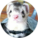 AC popopopon profile picture