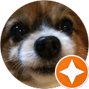 さとよし profile picture