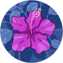 R RR profile picture