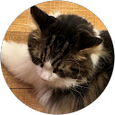 せな profile picture