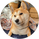 みつ profile picture