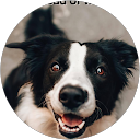 Aileen Dano profile picture