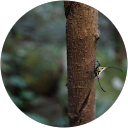 skabruy profile picture