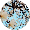 ふな profile picture