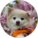 今村たえこ profile picture