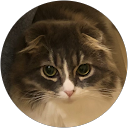 ぎんこ profile picture