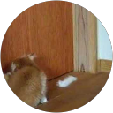 Hiroyuki Harada profile picture