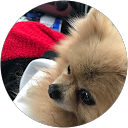 NIKO NIKO GAME (NIKO) profile picture