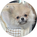 S S profile picture