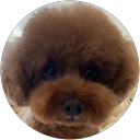 堀純也 profile picture