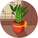 しいたけお profile picture