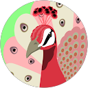 masa profile picture