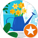 IKUKO FUJI profile picture