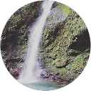 本田大記 profile picture