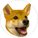 むぎきなこ profile picture